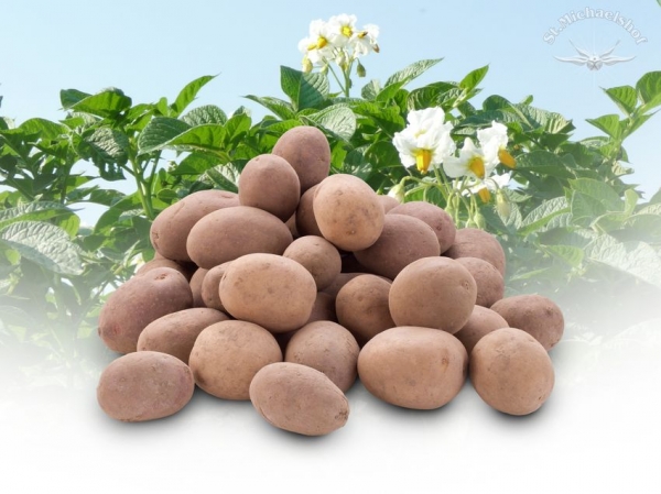 Nusskartoffeln