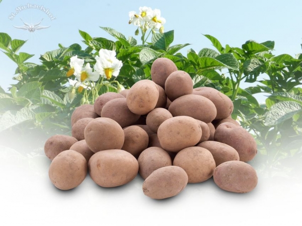 Nusskartoffeln