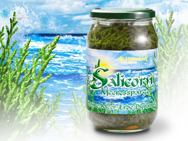 Salicorn Meeresspargel
