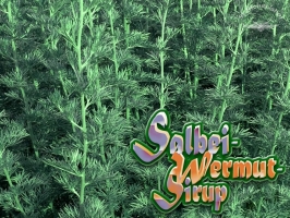 Bio Salbei-Wermut-Sirup 